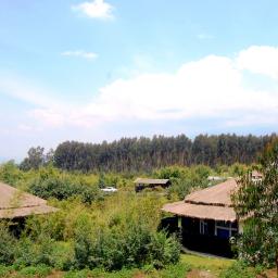 Le Bambou Gorilla Lodge