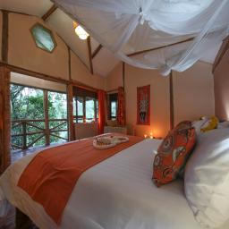 Gorilla Safari Lodge
